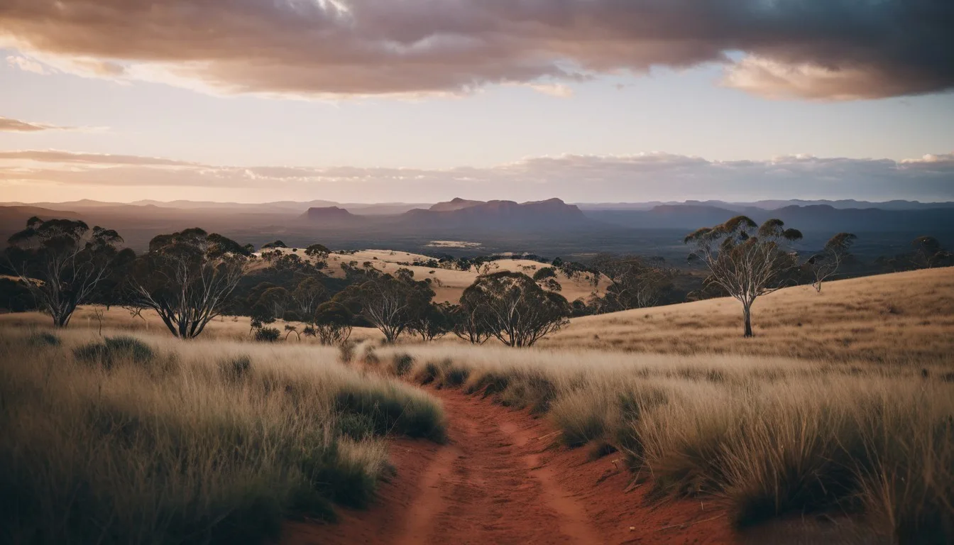 Australian landscape